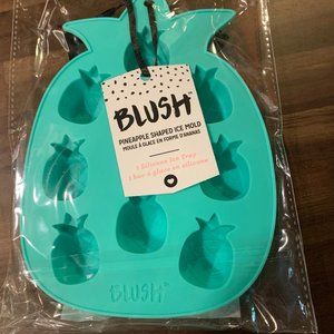 Blush Flexible Silicone Teal Pineapple Stackable Ice Cube Tray Mold NIP